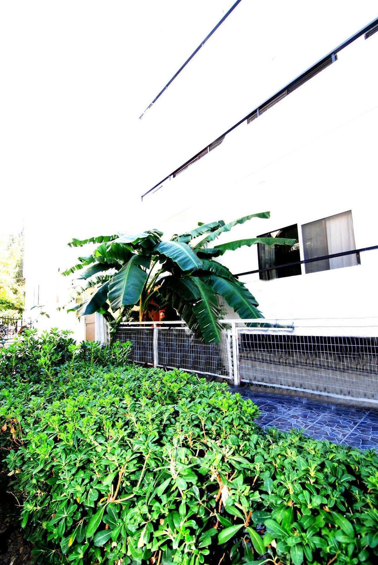 Aegeon Hotel - Adults Only Kos Town Exterior photo